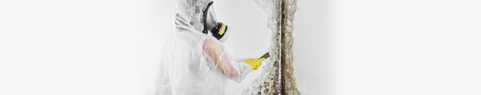 Residential Mold Remediation Services In Sarasota Voda Cleaning