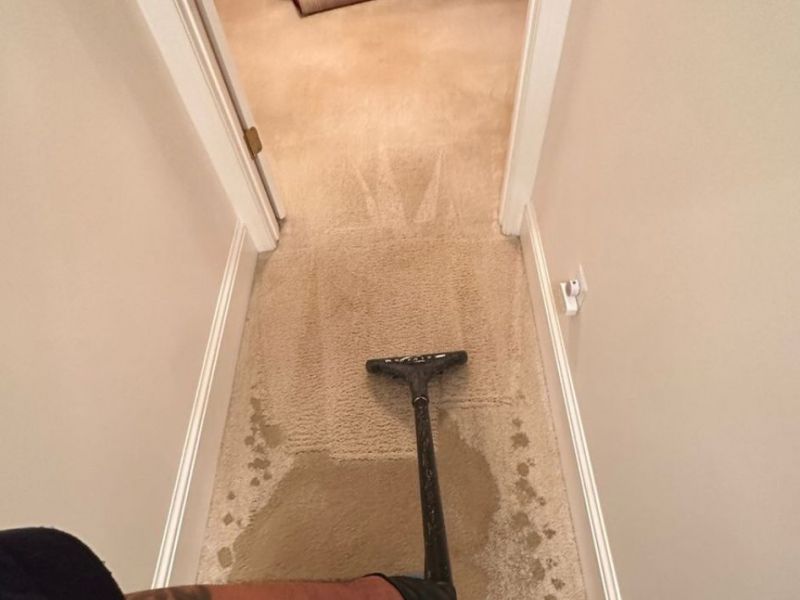What Is The Average Cost Of Water Damage Restoration In Ann Arbor Mi