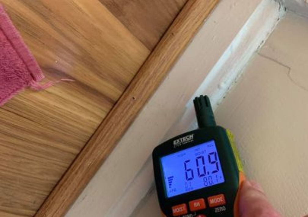 What Is The Average Cost Of Mold Remediation In Novi Mi