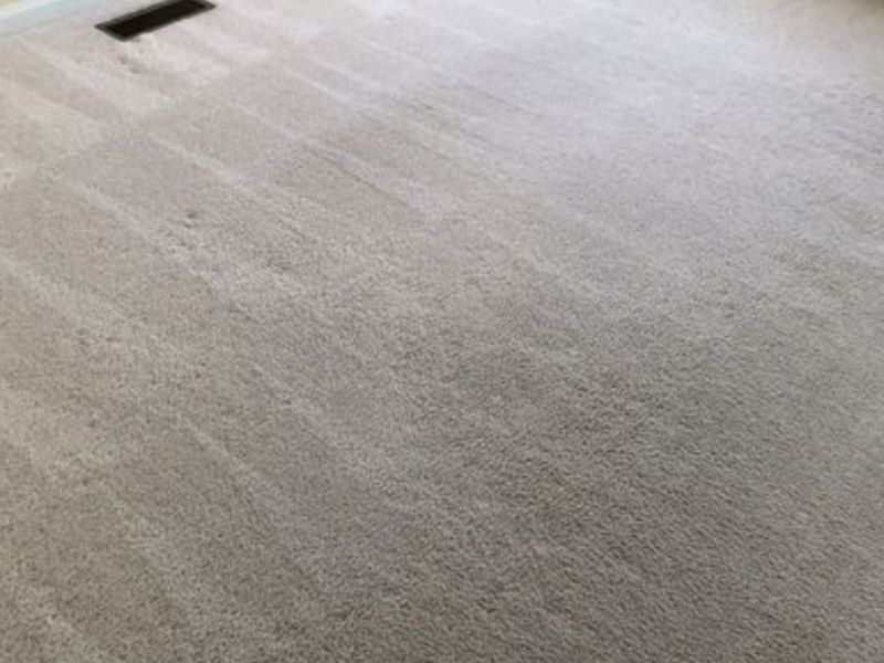 What Is The Average Cost Of Carpet Cleaning In Saline Mi