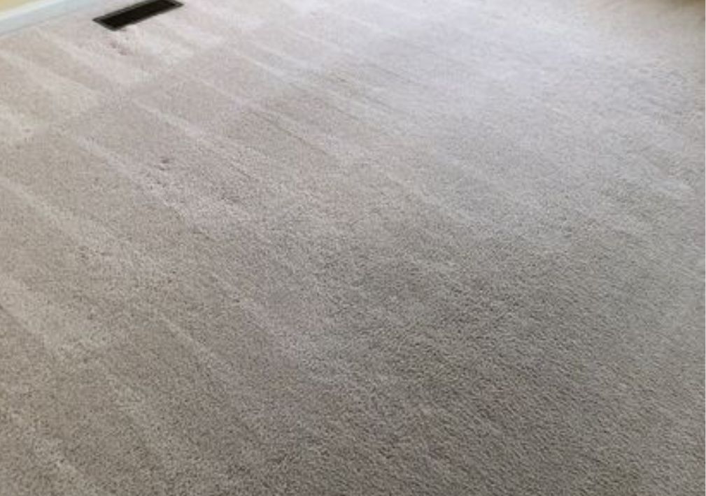 What Is The Average Cost Of Carpet Cleaning In Saline Mi