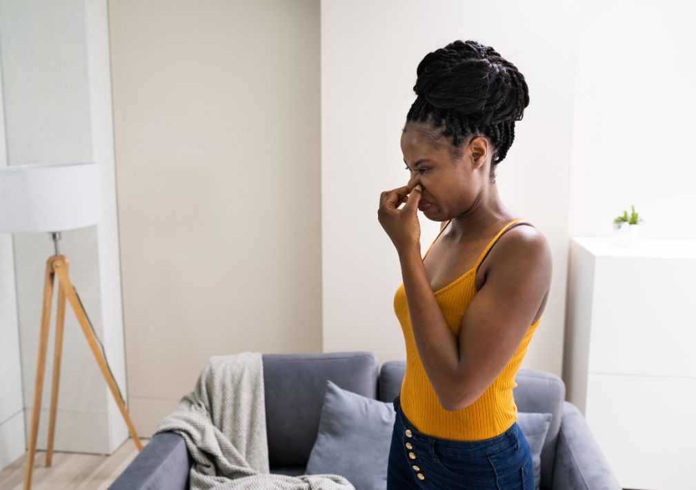 What Is The Average Cost Of Odor Removal In Fair Oaks Ga