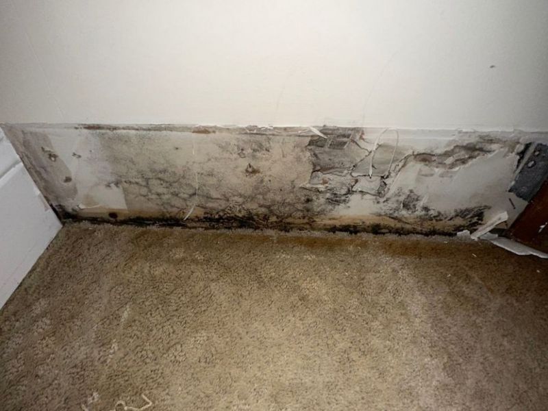 What Is The Average Cost Of Water Damage Restoration In Marietta Ga