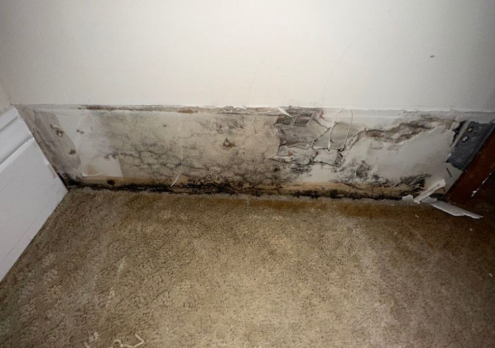 What Is The Average Cost Of Water Damage Restoration In Marietta Ga