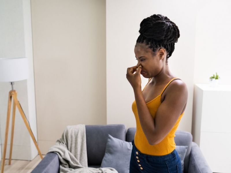 What Is The Average Cost Of Odor Removal In Fair Oaks Ga
