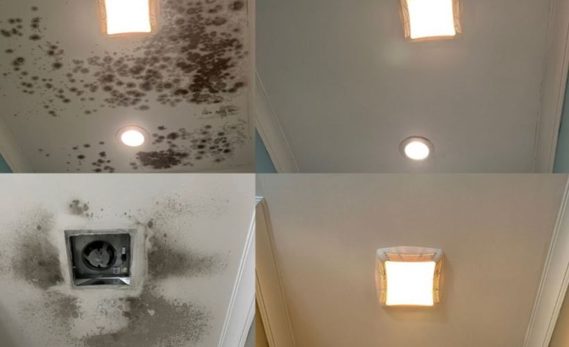 What Is The Average Cost Of Mold Remediation In Crandall Tx