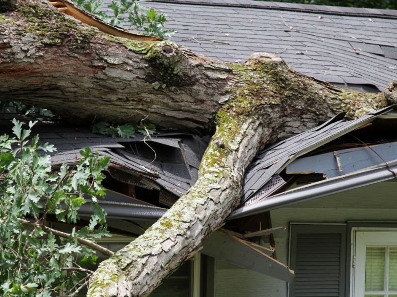 What Is The Average Cost Of Storm Damage Restoration In Gonzales La
