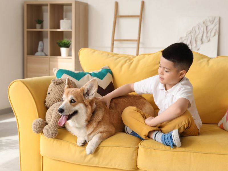 What Is The Average Cost Of Odor Removal In Dutchtown