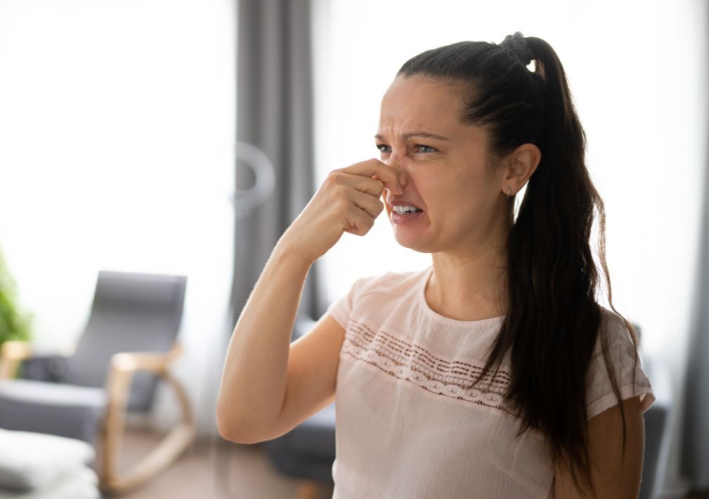 What Is The Average Cost Of Odor Removal In Bogota Nj