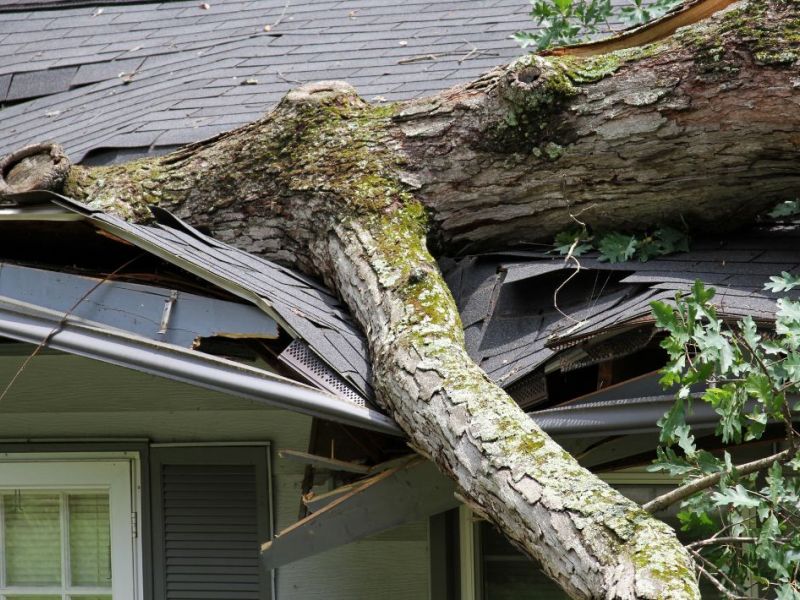How Does Storm Damage Restoration Work