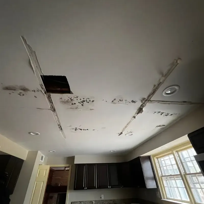 Water Damage Restoration Gallery 2