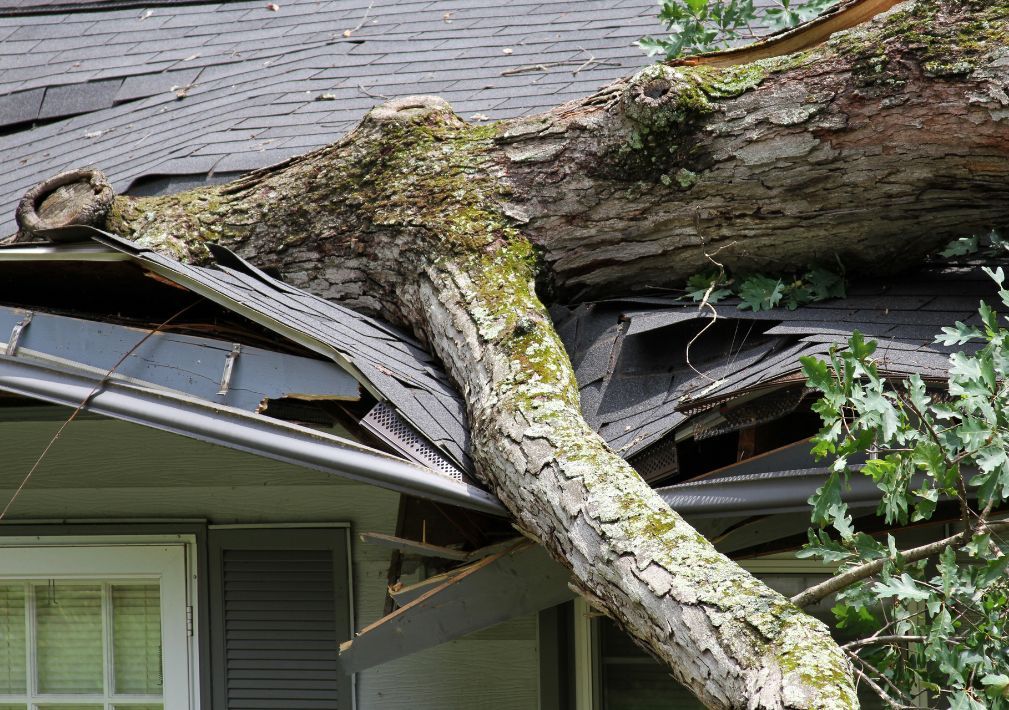 How Does Storm Damage Restoration Work