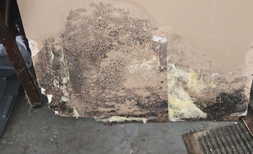 What Is The Average Cost Of Mold Damage Restoration In Fort Lee Nj
