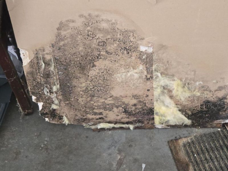 What Is The Average Cost Of Mold Damage Restoration In Fort Lee Nj