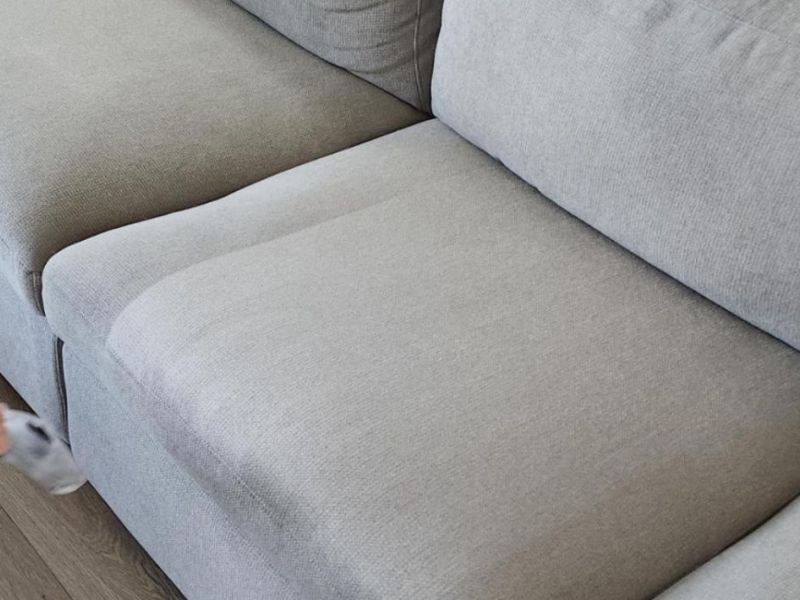 What Is The Average Cost Of Upholstery Cleaning In Indian Springs Al