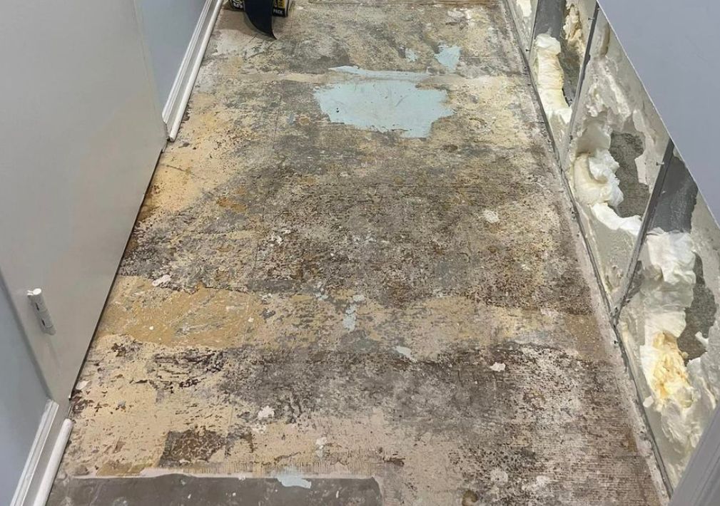 What Is The Average Cost Of Mold Remediation In Leeds