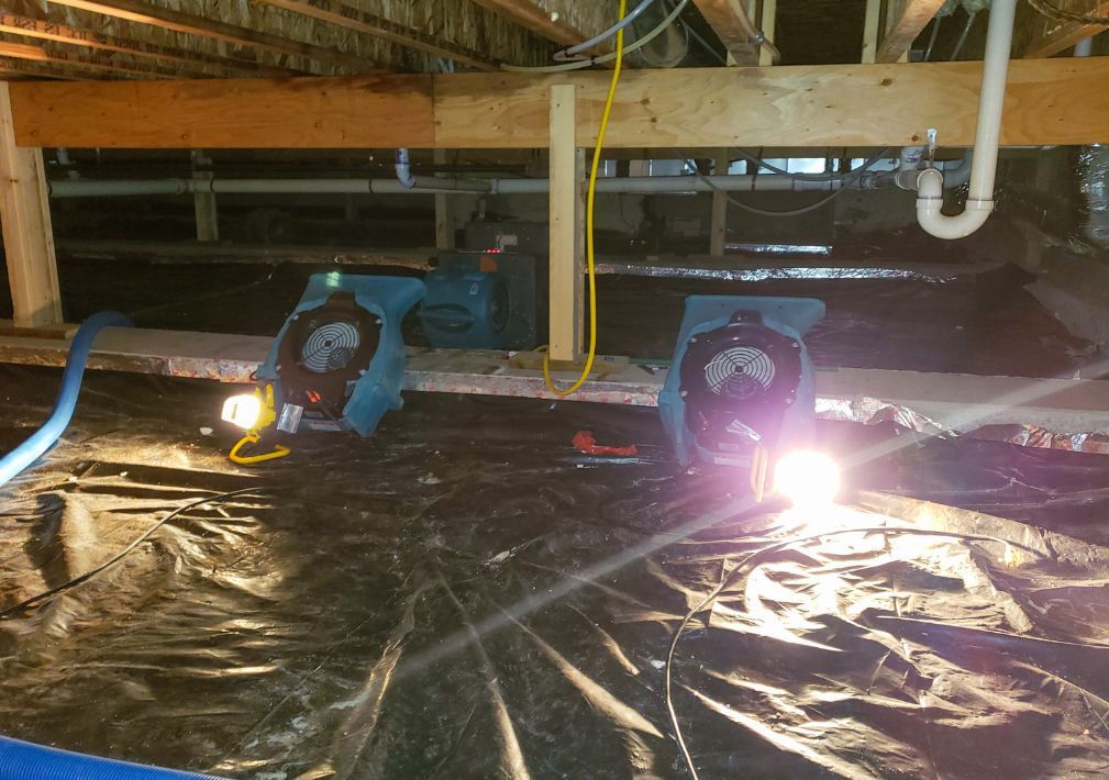 What Is The Average Cost Of Water Damage Restoration In Chelsea