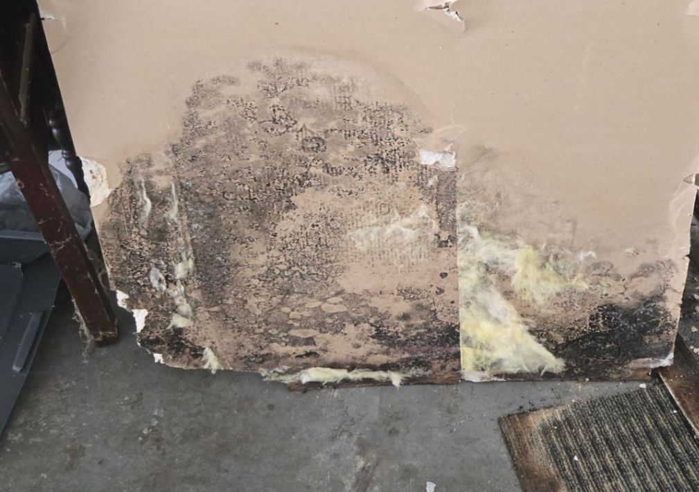 What Is The Average Cost Of Mold Remediation In Gardendale Al