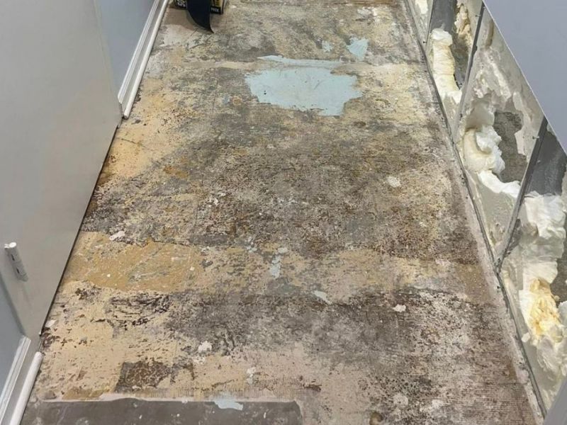 What Is The Average Cost Of Mold Remediation In Leeds