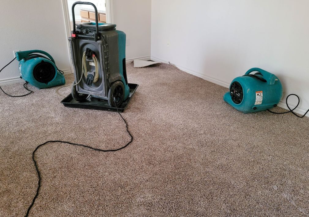 What Is The Average Cost Of Water Damage Restoration In Boyton Beach
