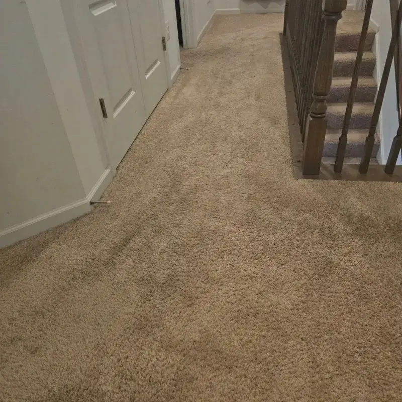 Carpet Cleaning In Charles Town Wv Result