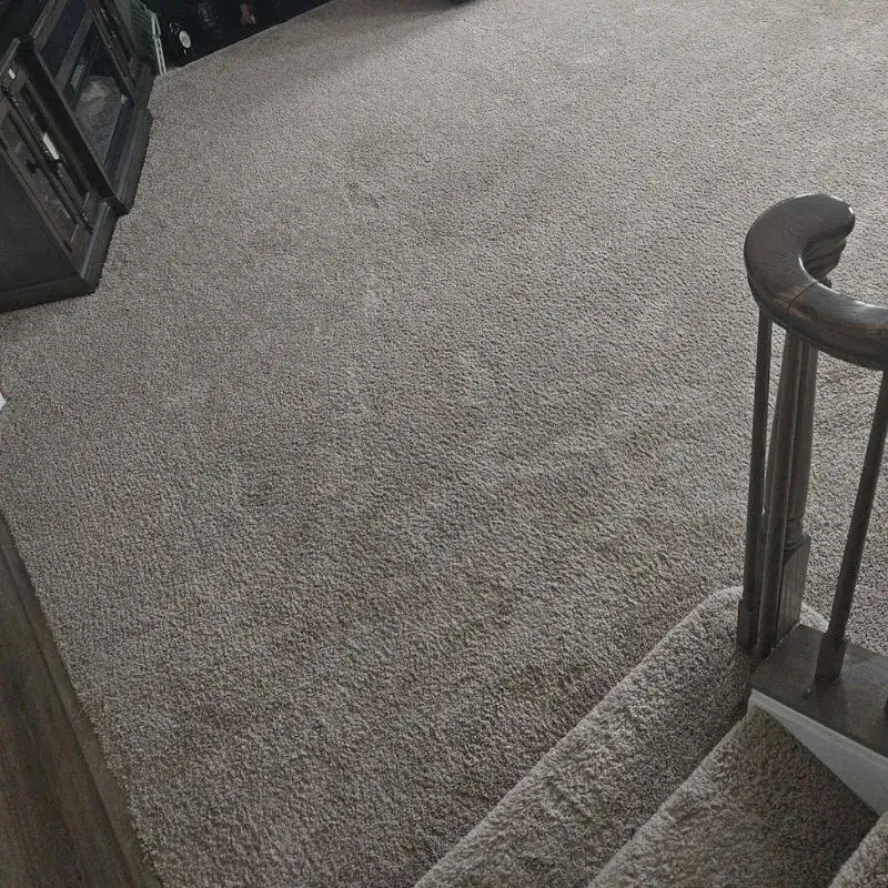 Carpet Cleaning In Charles Town Wv Result