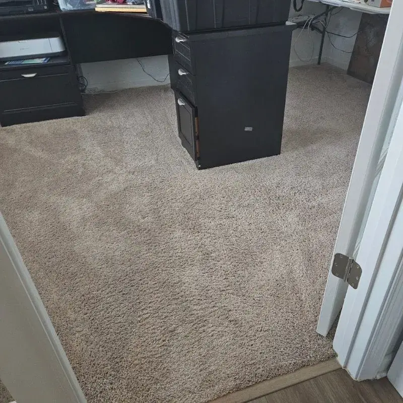Carpet Cleaning In Charles Town Wv Result