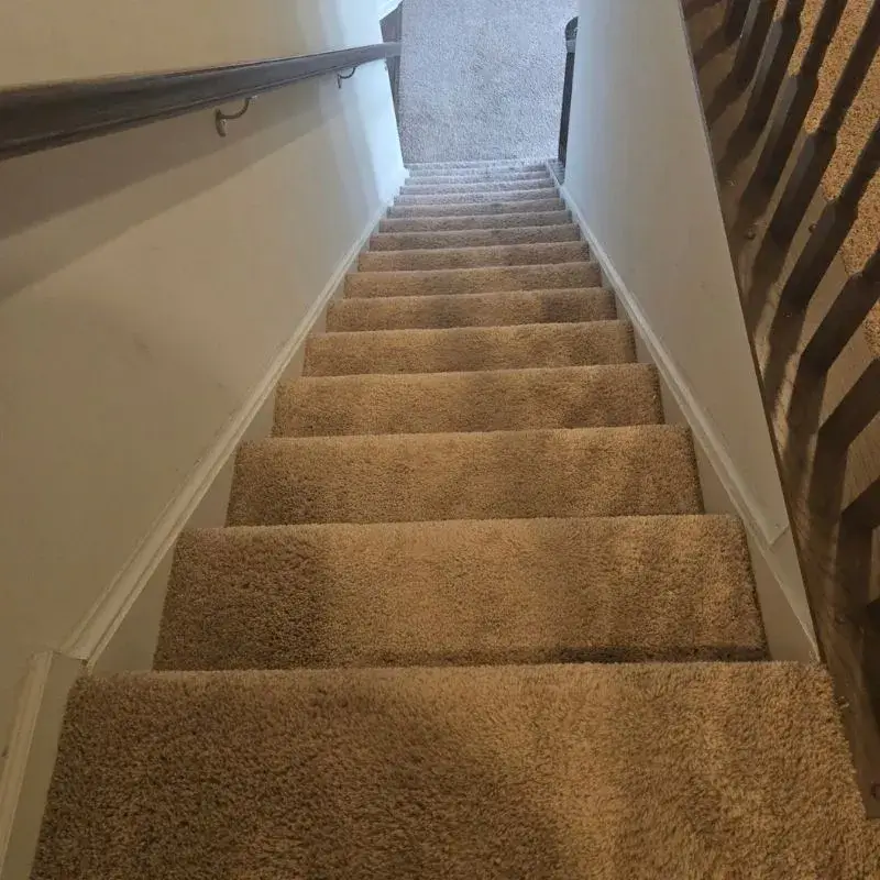Carpet Cleaning In Charles Town Wv Result