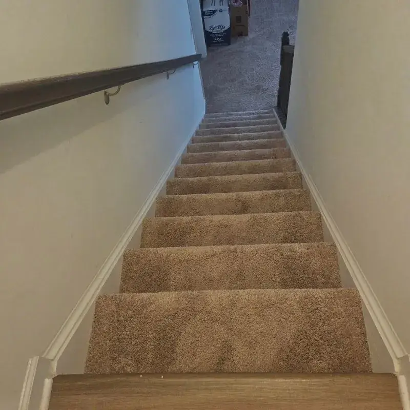 Carpet Cleaning In Charles Town Wv Result
