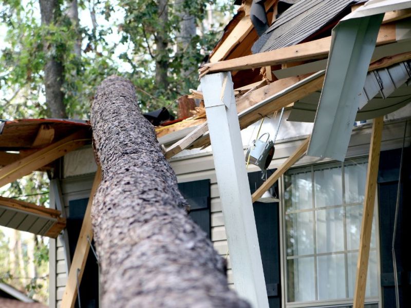 What Is The Average Cost Of Storm Damage Restoration In Bryant Ar