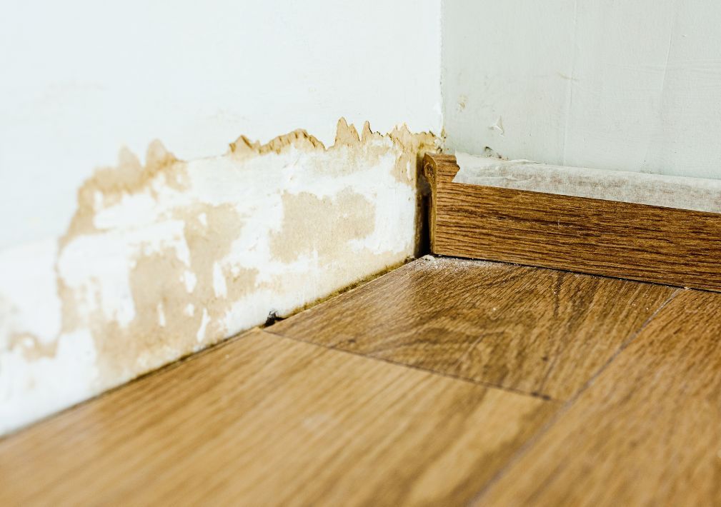 What Is The Average Cost Of Water Damage Restoration In Sherwood