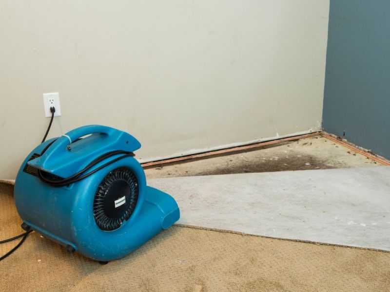 What Is The Average Cost Of Water Damage Restoration In Winter Haven Fl