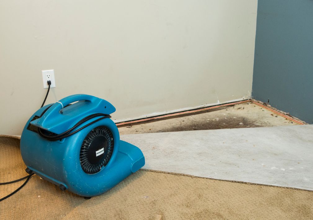What Is The Average Cost Of Water Damage Restoration In Winter Haven Fl