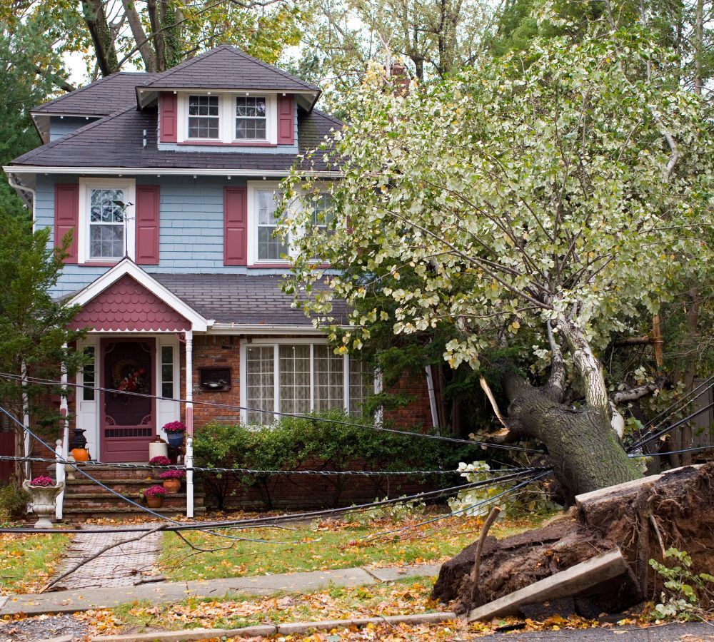 What Is The Average Cost Of Storm Damage Restoration In Wildwood Nc