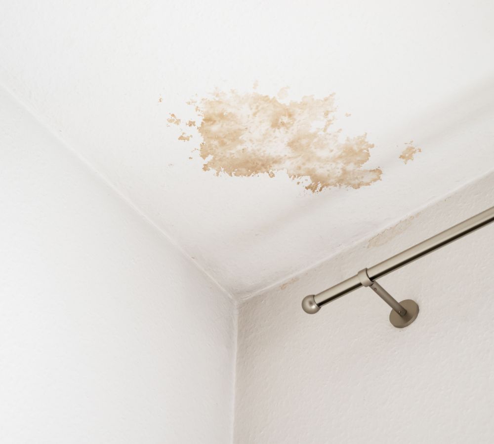 What Are The Top Signs Of Water Damage In Matthews Va