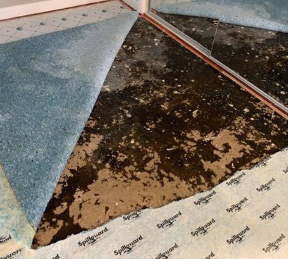 What Is The Average Cost Of Mold Damage In Matthews