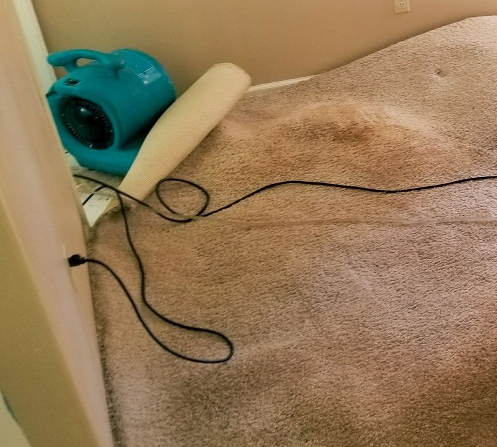 What Is The Average Cost Of Water Damage Restoration In Charlotte