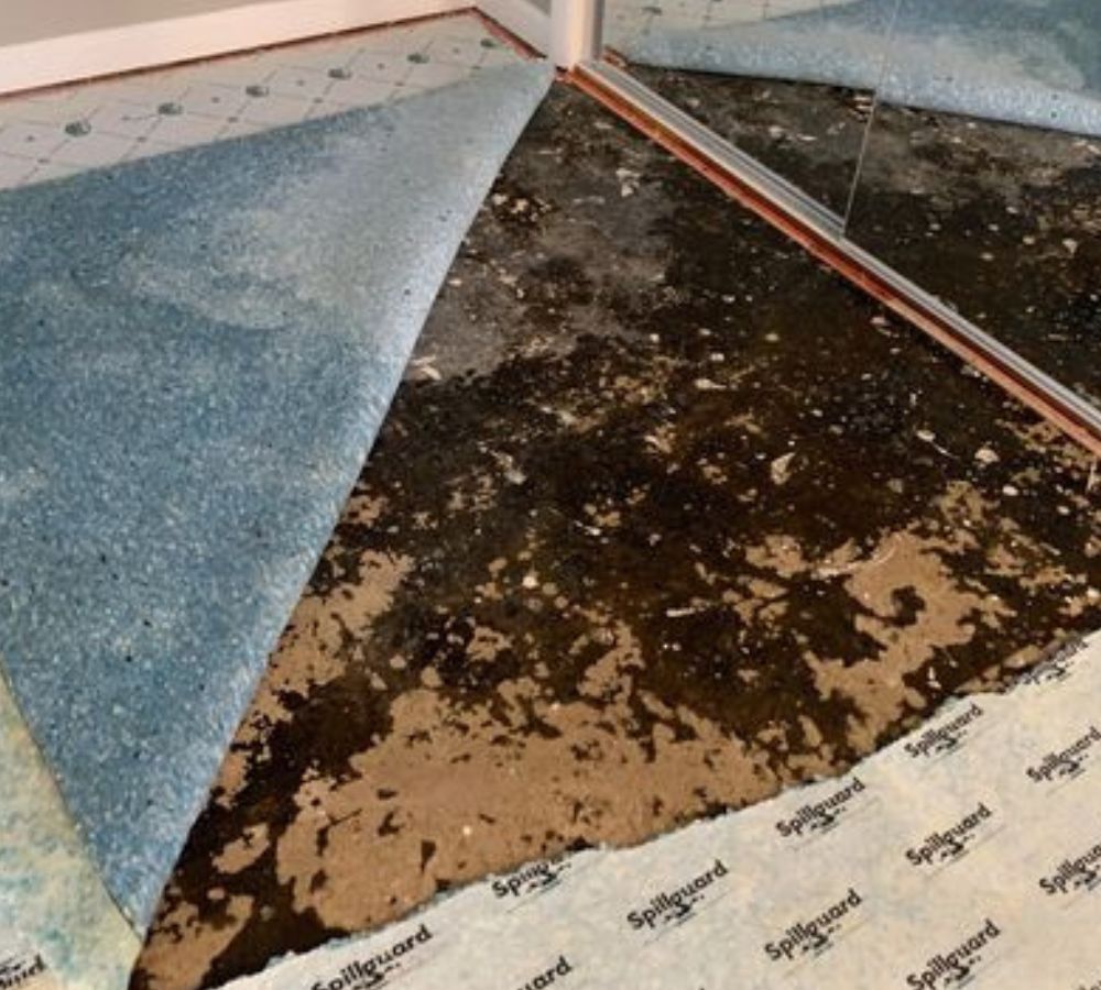 What Is The Average Cost Of Mold Damage Restoration In Pineville Nc