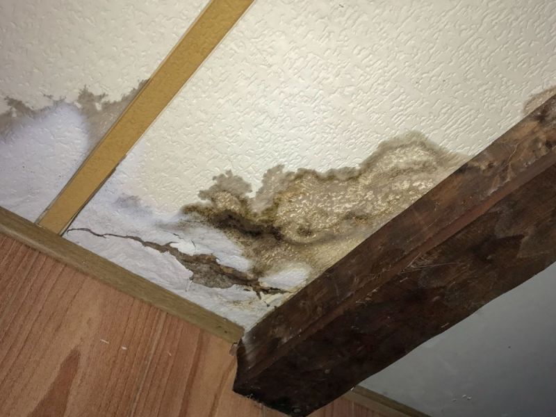 What Are The Health Risks Of Mold Exposure In Matthewsnc