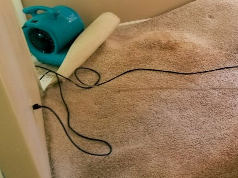What Is The Average Cost Of Water Damage Restoration In Charlotte