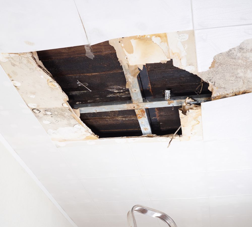What Is The Average Cost Of Water Damage Restoration In Huntersville