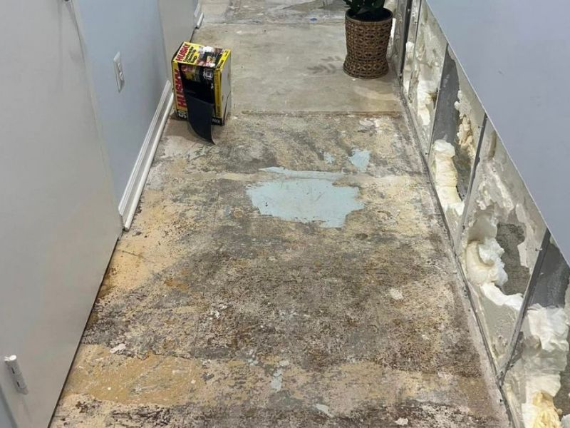 What Is The Average Cost Of Mold Remediation In Signal Mountain Tn