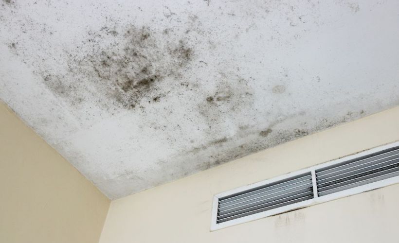 What is the Average Cost of Mold Damage Restoration in South Cleveland, TN?