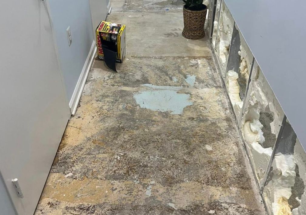 What Is The Average Cost Of Mold Remediation In Signal Mountain Tn