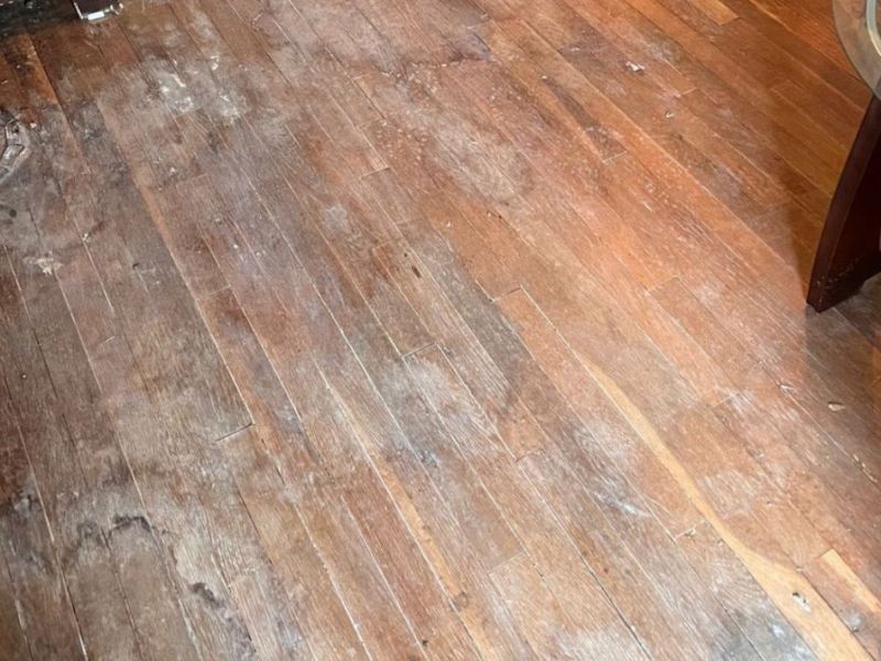 What Is The Average Cost Of Water Damage Restoration In Cincinnati OH