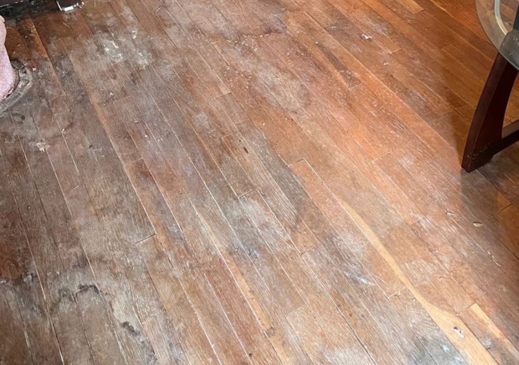 What Is The Average Cost Of Water Damage Restoration In Cincinnati OH