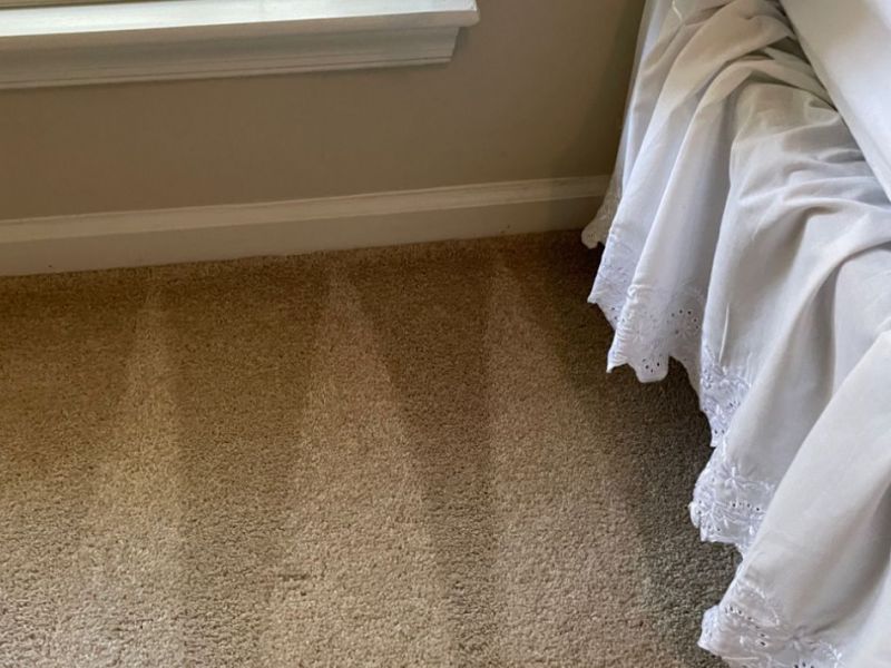 What Is The Average Cost Of Carpet Cleaning In Chesterland Oh