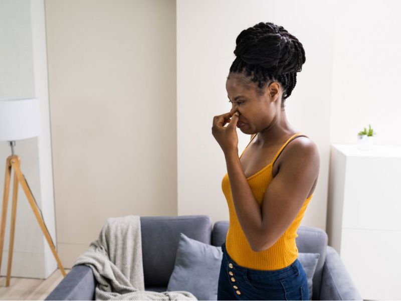 What Is The Average Cost Of Odor Removal In Hudson Oh