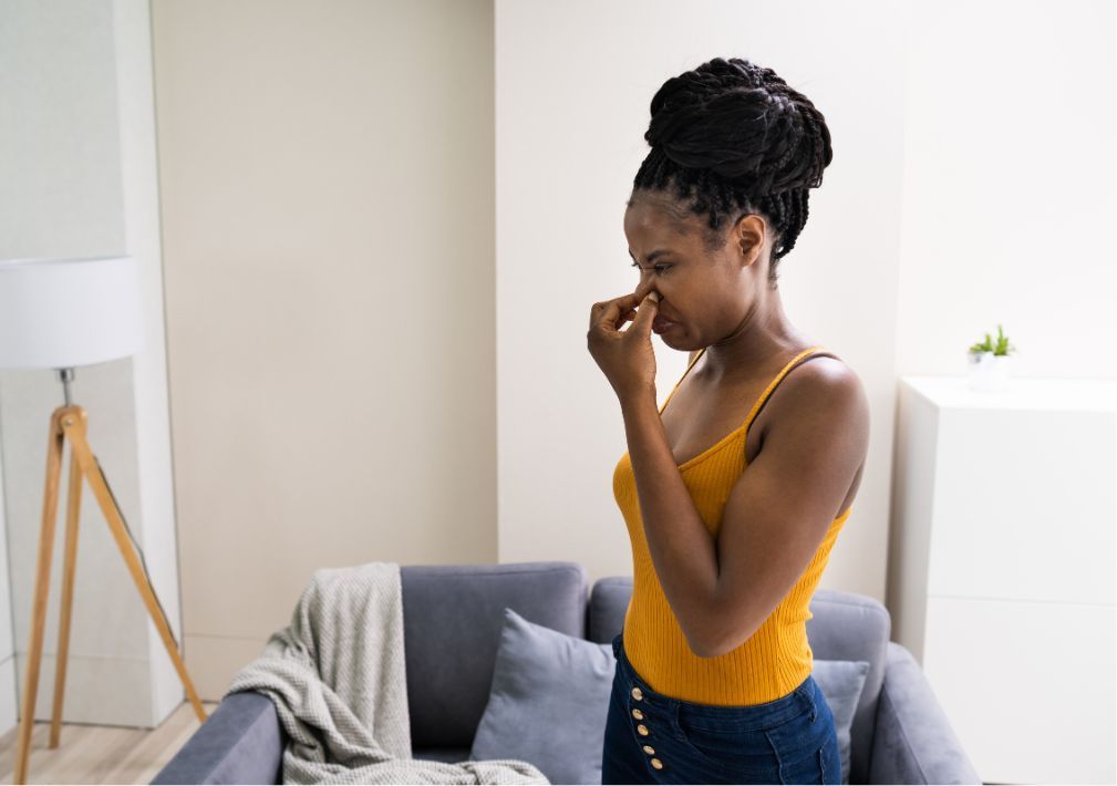 What Is The Average Cost Of Odor Removal In Hudson Oh