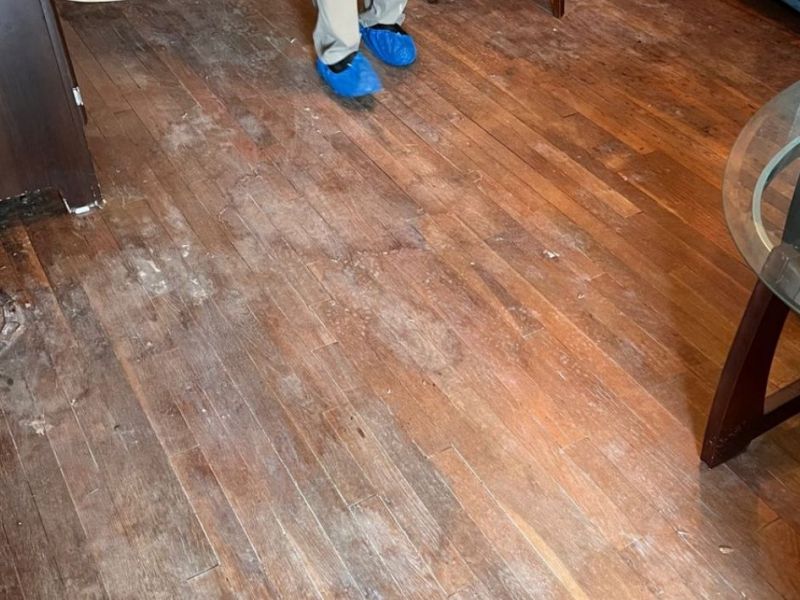 What Is The Average Cost Of Water Damage Restoration In Colorado Springs